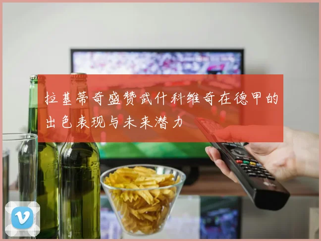 拉基蒂奇盛赞武什科维奇在德甲的出色表现与未来潜力