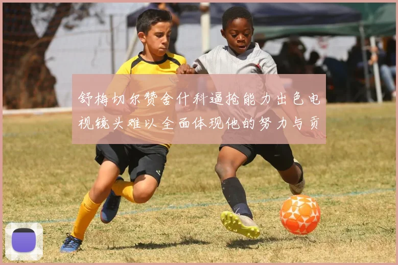 舒梅切尔赞舍什科逼抢能力出色电视镜头难以全面体现他的努力与贡献