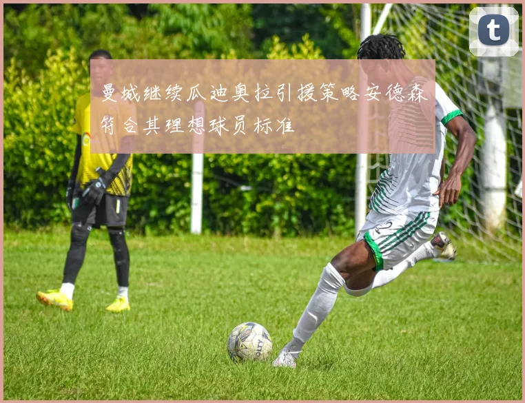 曼城继续瓜迪奥拉引援策略安德森符合其理想球员标准